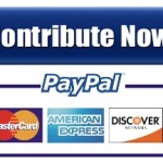 Paypal-button-sm
